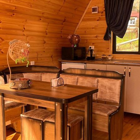 Vaso-Levani Kazbegi Cottage Bagian luar foto